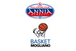 Logo Altino