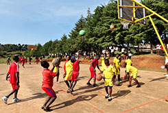 Basket Camerun